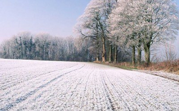 Agrometeorológia: kedvező a hó a növények számára